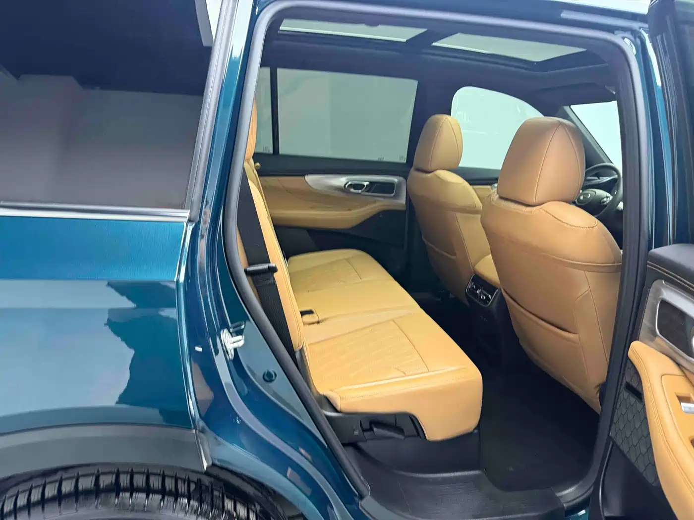 GAC Trumpchi Trumpchi GS8 2025 Pilot Series 2.0TGDI 2WD Luxury Edition 5-seater фото 21