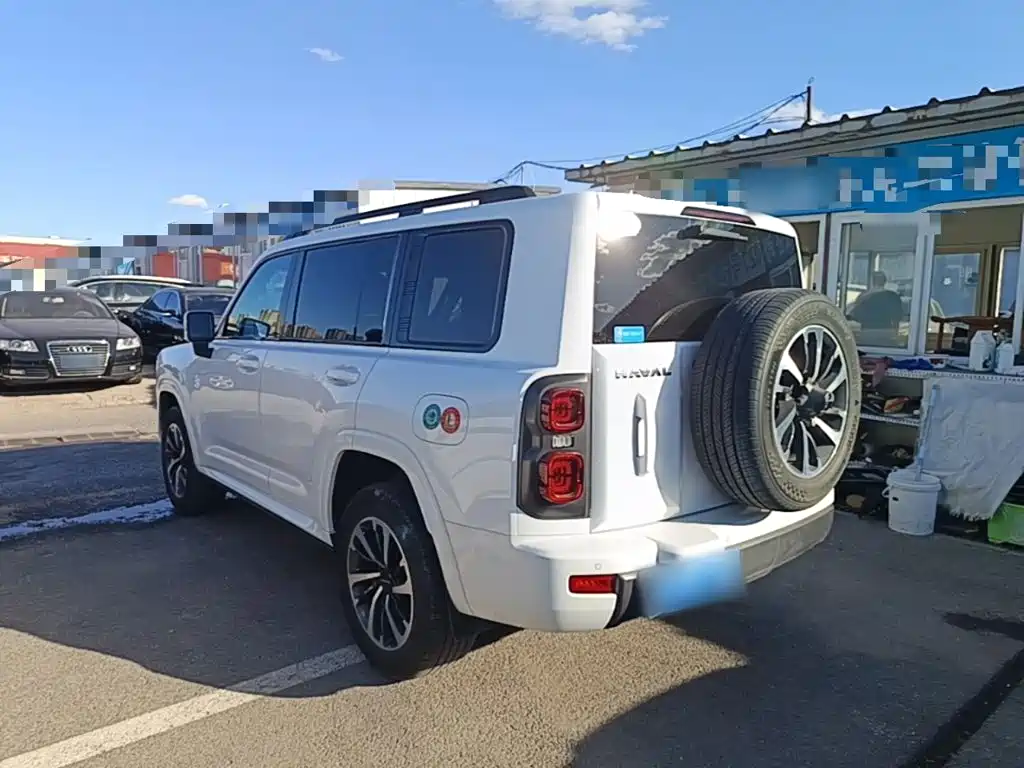 Haval H9 2025 2024 2.0T Gasoline AWD Extreme Edition