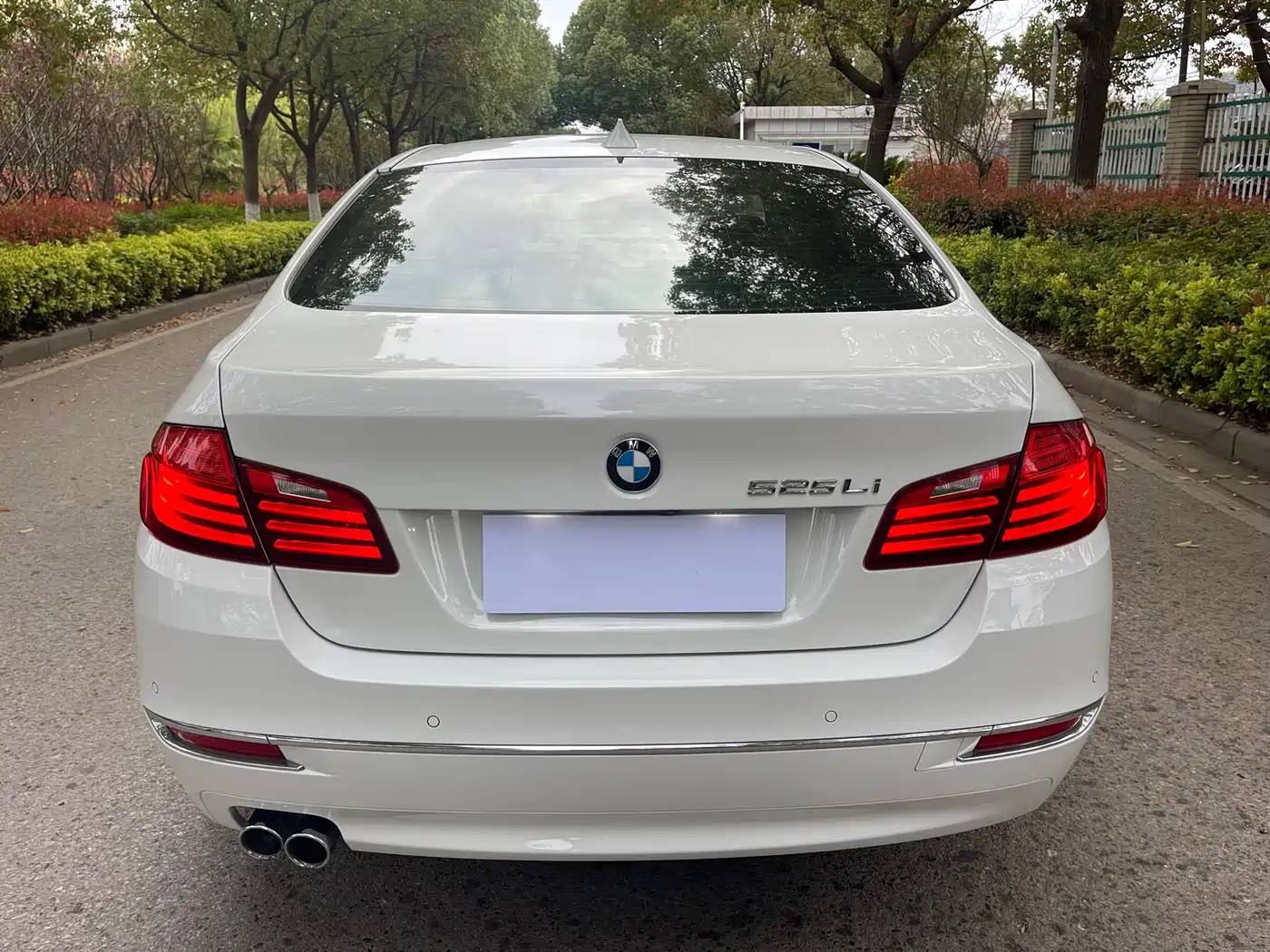 BMW 5 Series 2014 525Li Luxury Design Package фото 15