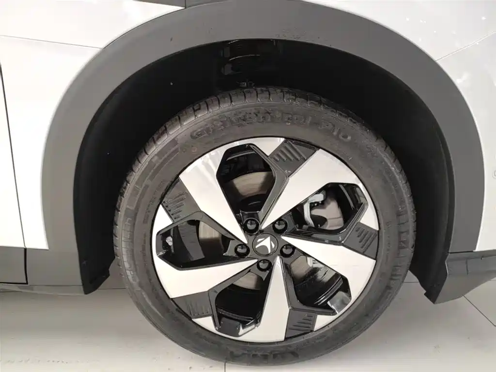 ARCFOX EXTREME FOX POLAR FOX ALPHA T5