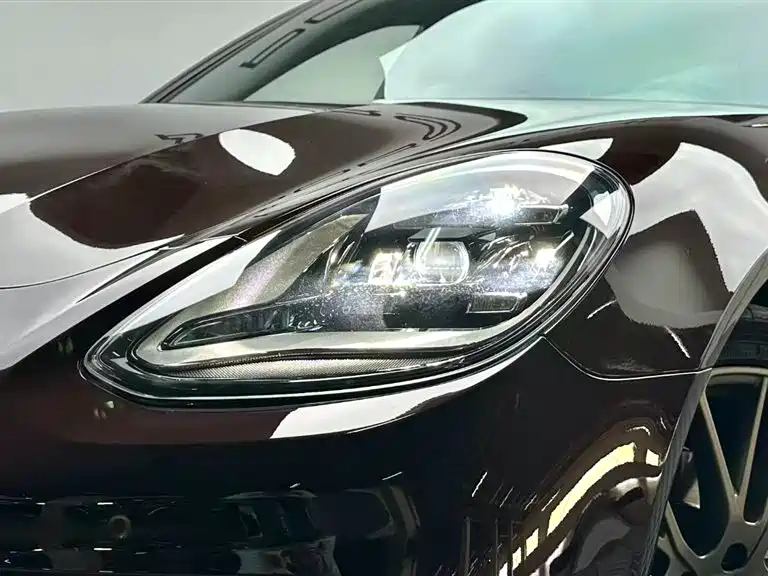 Porsche Panamera 2023 Panamera 4 Executive Long Wheelbase Platinum Edition 2.9T фото 7
