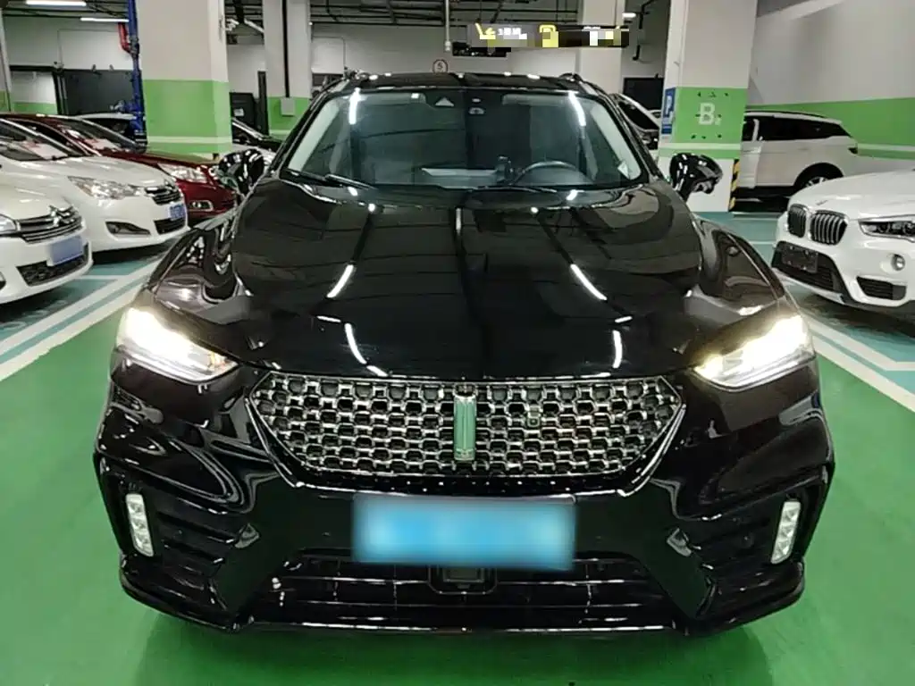 2021 WEY VV7