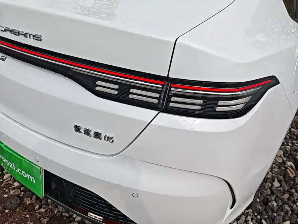 BYD Destroyer 05 2025 2024 Glory Edition DM-i 55KM Luxury