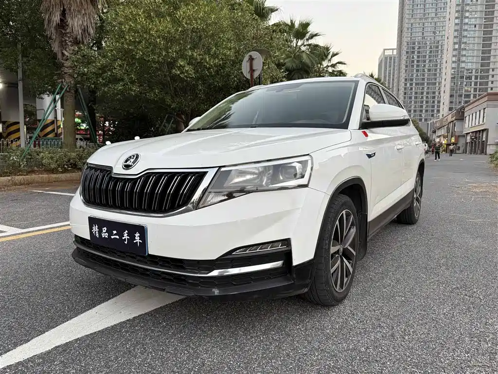Škoda Kamiq 2018 — пригон из Китая