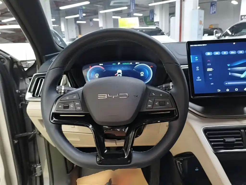 BYD Song PLUS PHEV 2023 Champion Edition DM-i 110KM Flagship фото 11