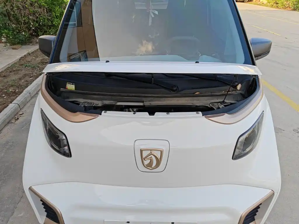 Фото 20 - Baojun E200