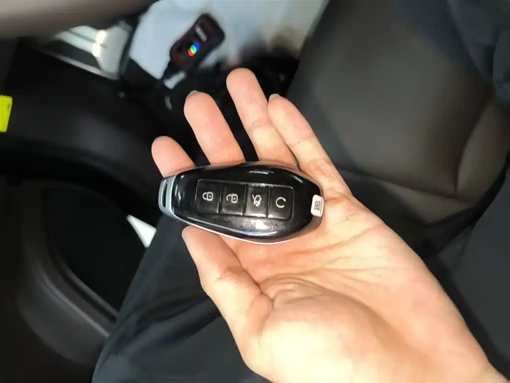 Denza Z9 2024 Model 630km AWD Max Edition фото 9