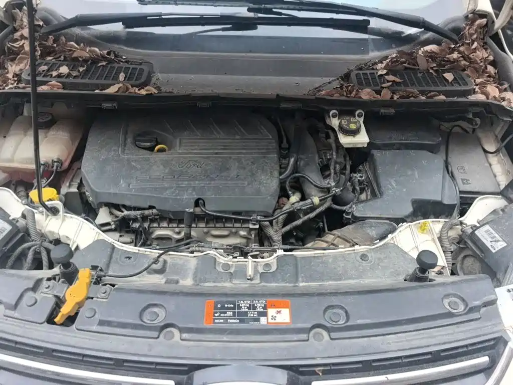 Фото 21 - Ford Kuga