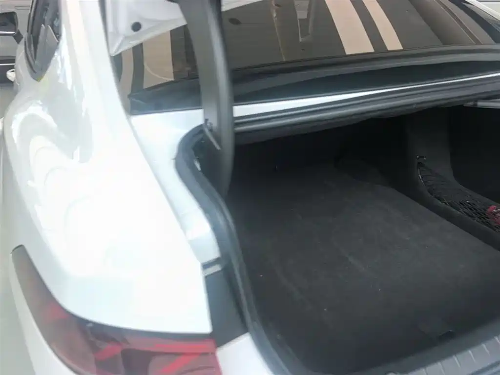 BYD Qin PLUS 2023 Champion Edition DM-i 55KM Leading фото 5