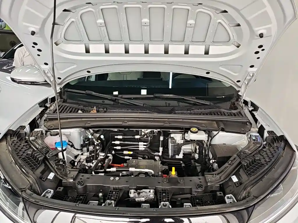 BYD Yuan UP 2026 2025 Model 301KM Navigator