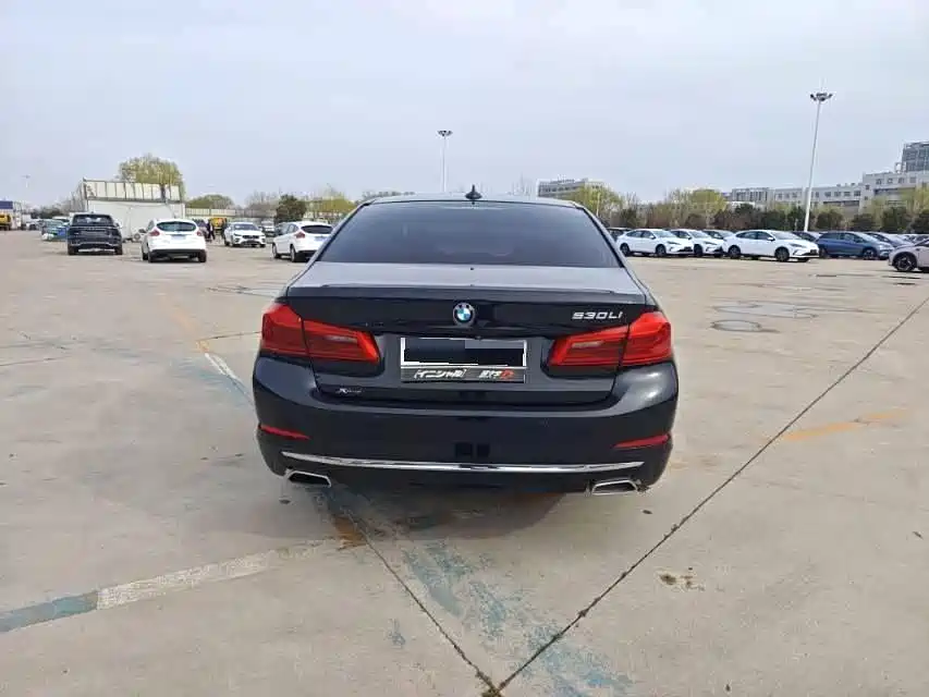 BMW 5 Series 2020 530Li xDrive Luxury Package фото 7