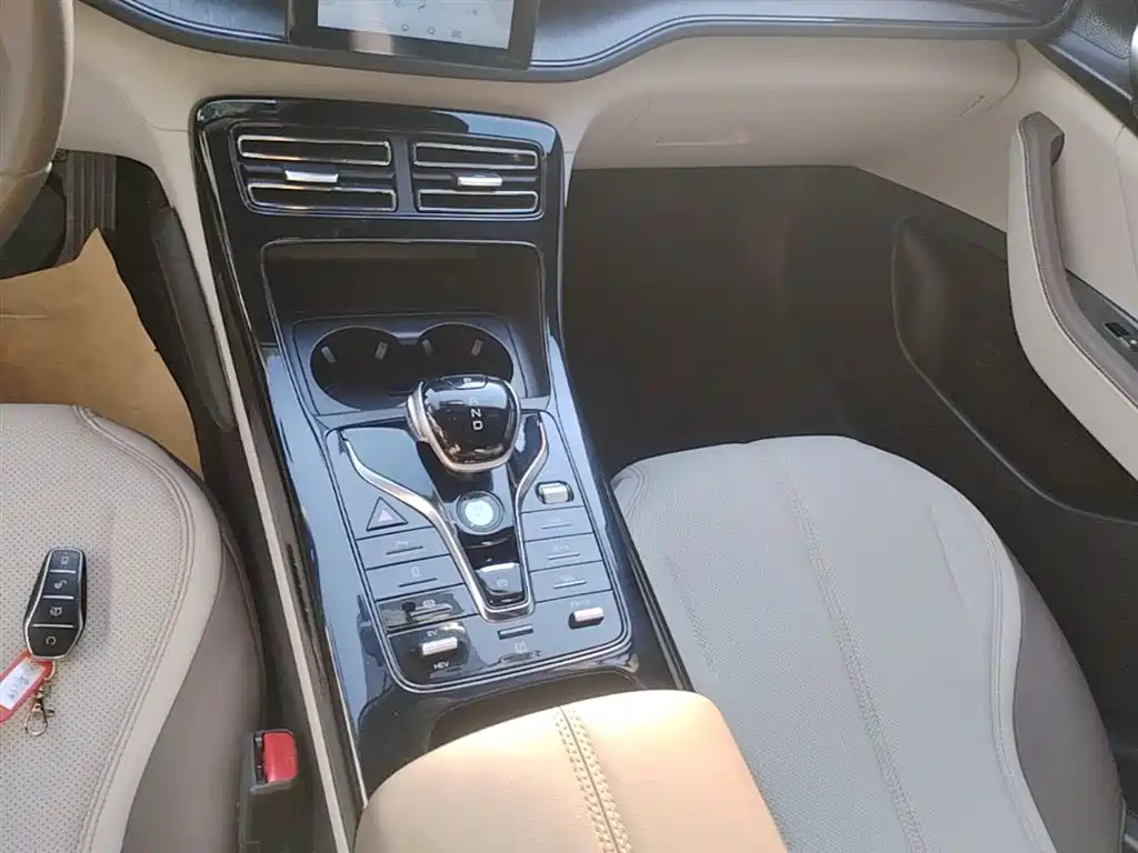 BYD Qin PLUS 2024 Glory Edition DM-i 55KM Leading фото 14