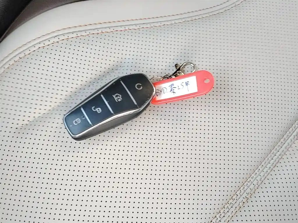 BYD Qin PLUS 2024 Glory Edition DM-i 55KM Leading фото 9