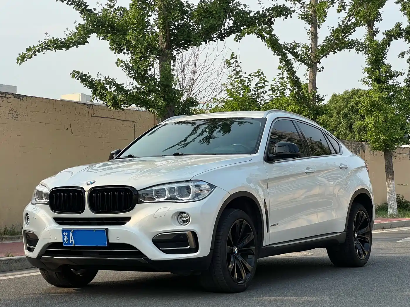 Фото 3 - BMW X6