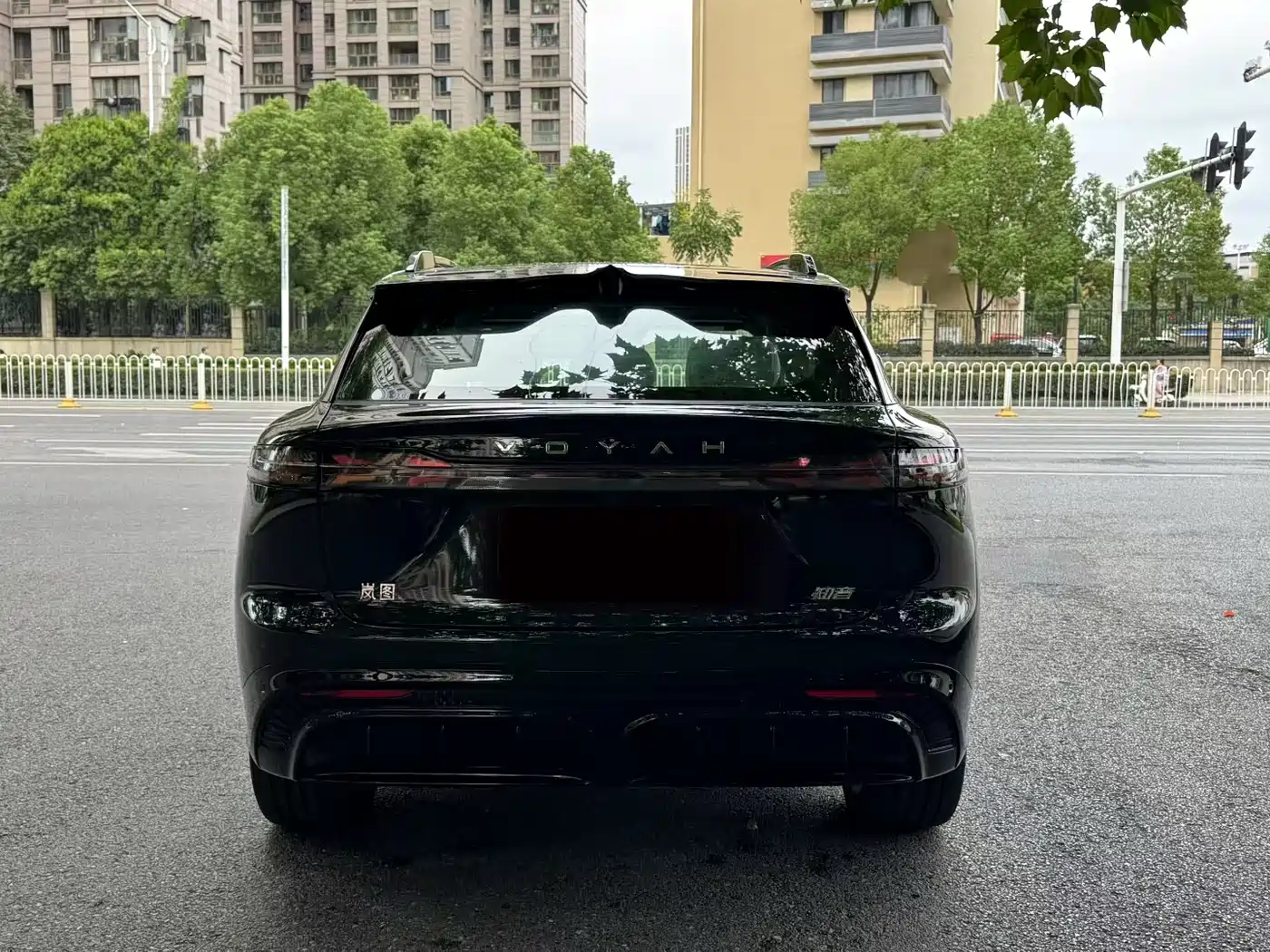 Voyah Auto Voyah Zhiyin 2024 Long Range Super Charging Edition фото 4