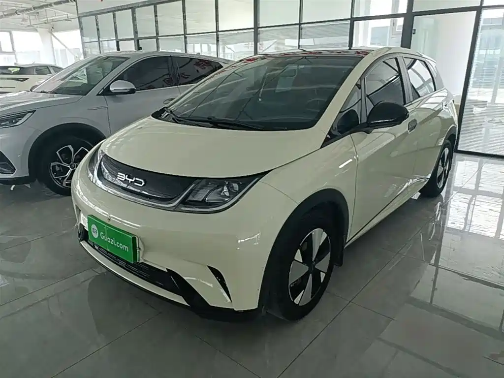 BYD Dolphin 2023 420km Freedom Edition