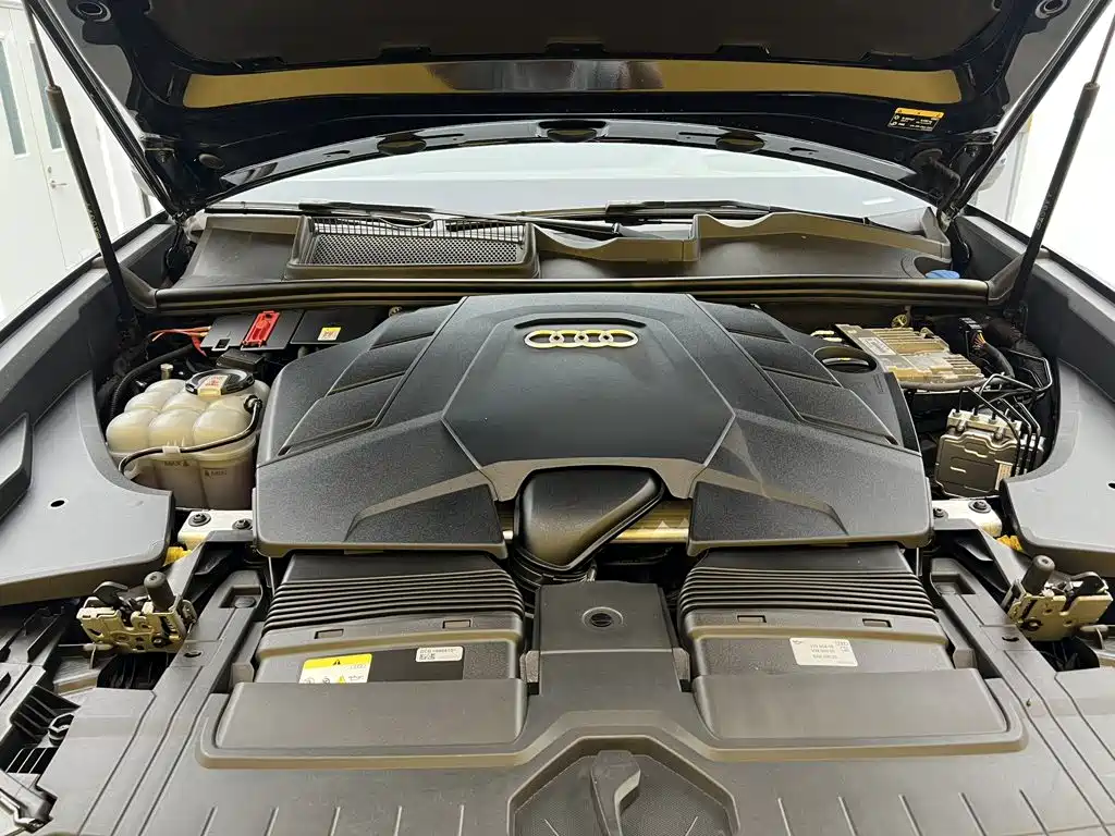 Audi Q8 2024 2023 55 TFSI Luxury Sport