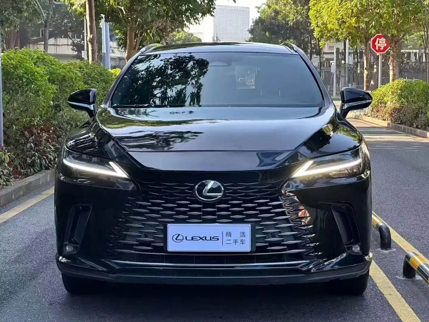 Фото 2 - Lexus RX