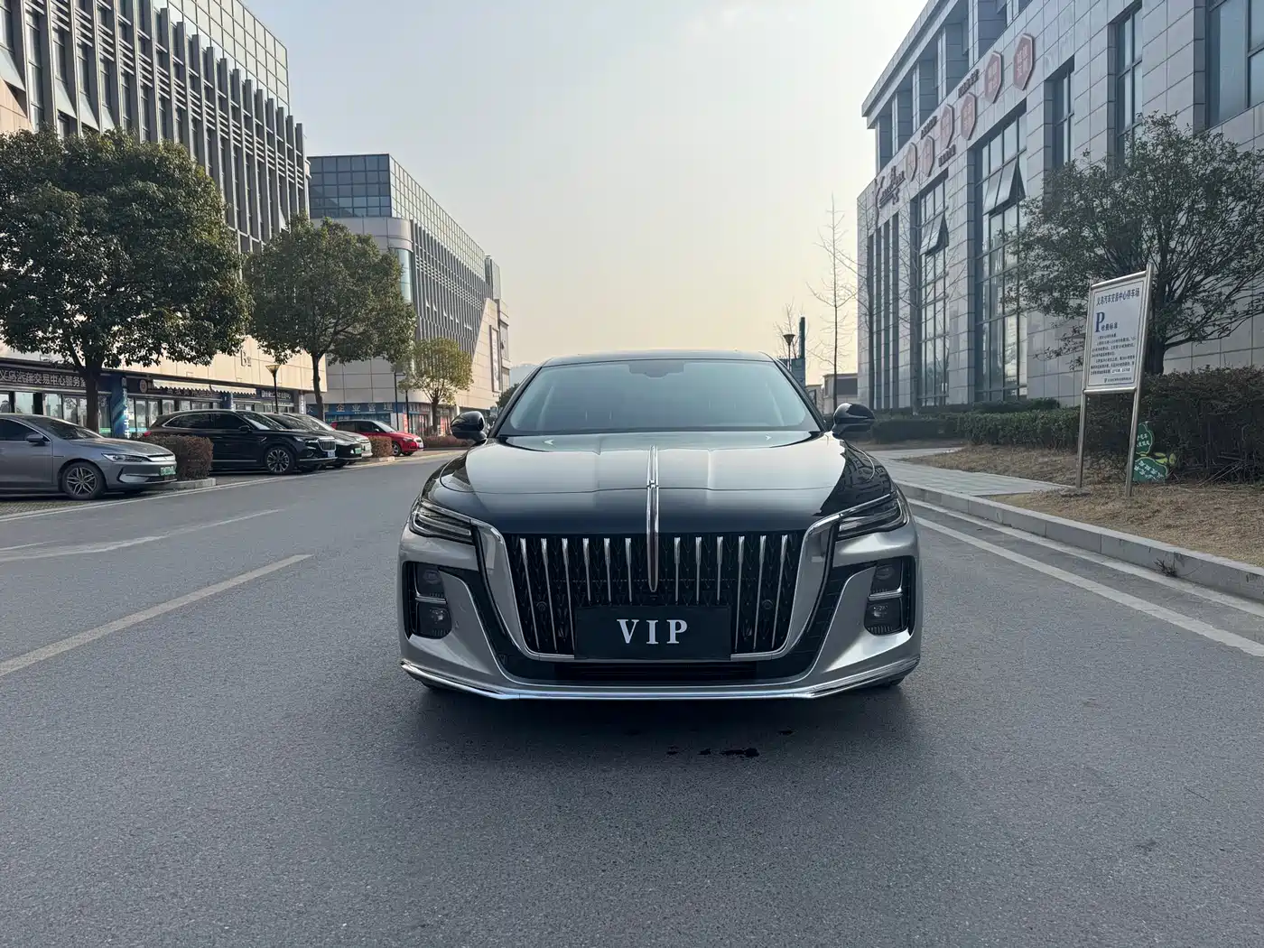 Hongqi H5 2025 1.5T DCT Flag Rhythm 500,000 Units Memorial Edition фото 3