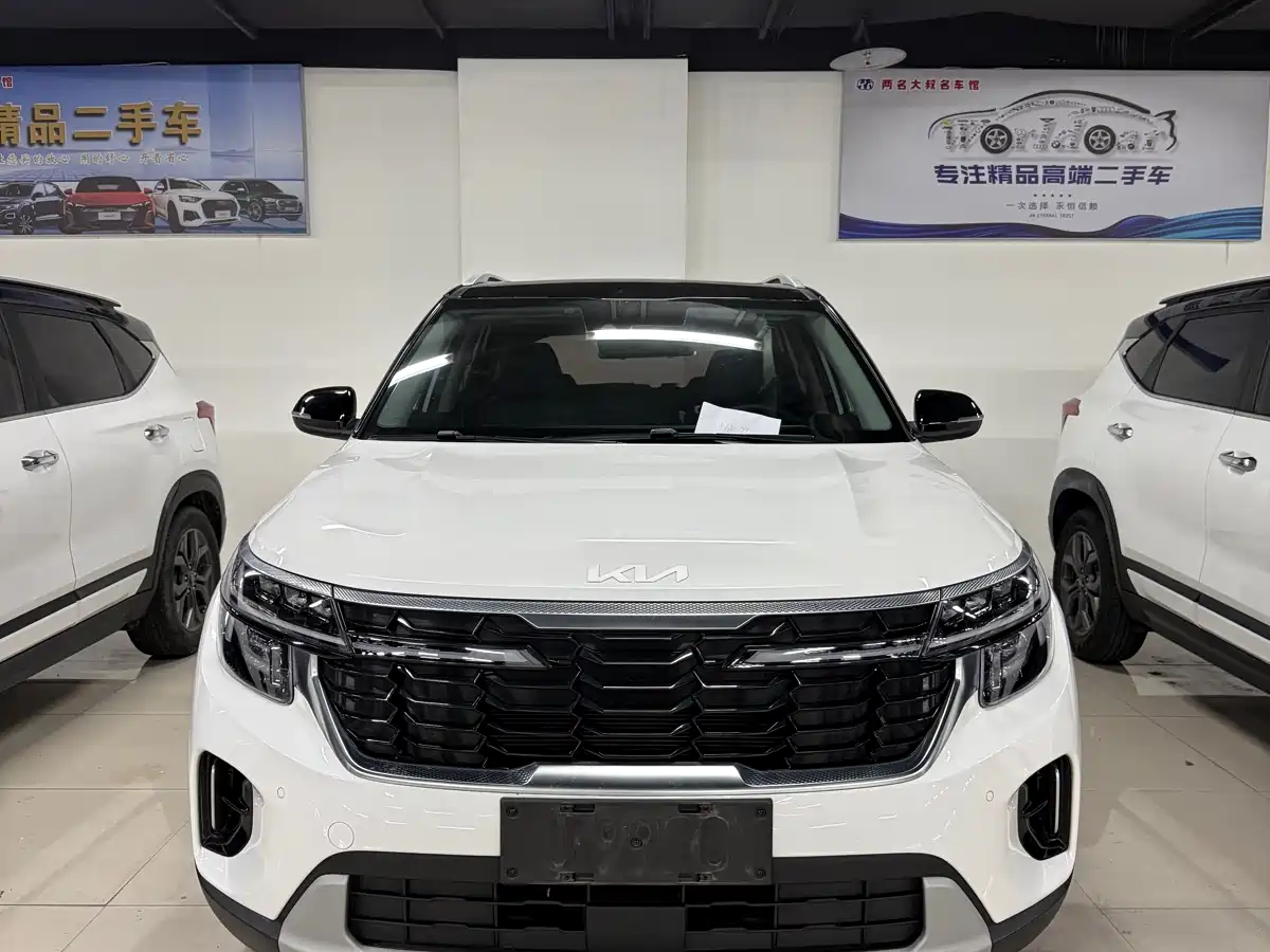 Kia Seltos 2024 2023 1.5L CVT Luxury Edition