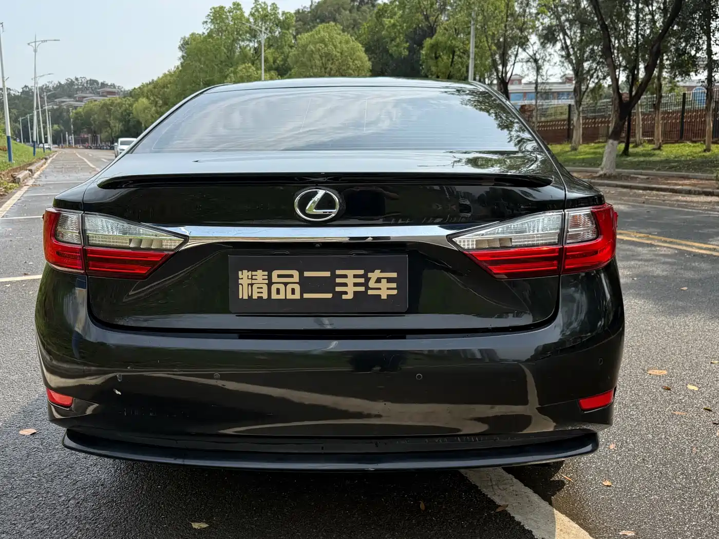 Lexus ES 2017 200 30th Anniversary Edition фото 4