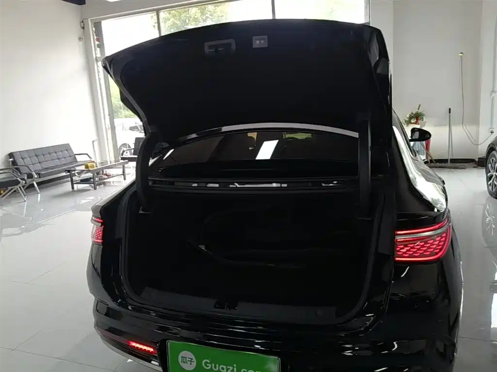 BYD Seal 2023 DM-i 1.5T 121km Flagship фото 19