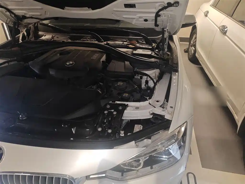 BMW 3 Series 2019 320Li Fashion Type фото 22