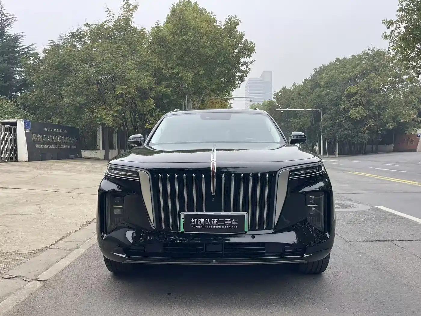 Hongqi HONGQI E HS9