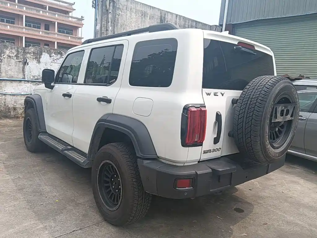 Tank 300 2021 2021 Off-road Version 2.0T Conqueror