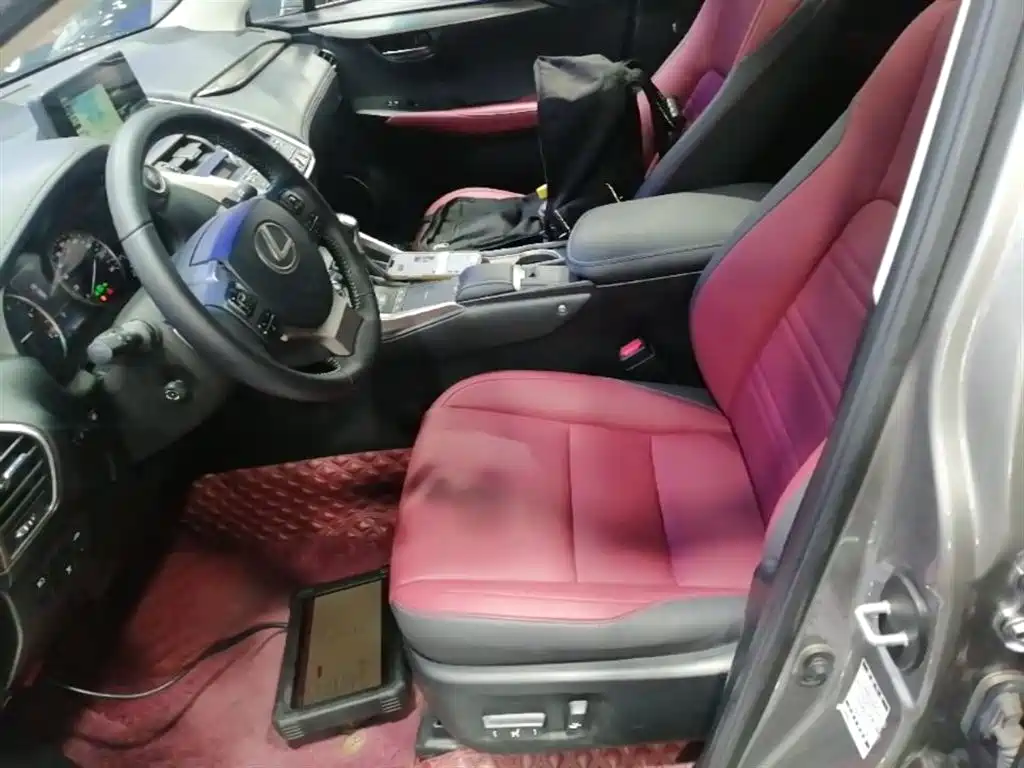 Lexus NX 2020 200 AWD F Sport China VI фото 15