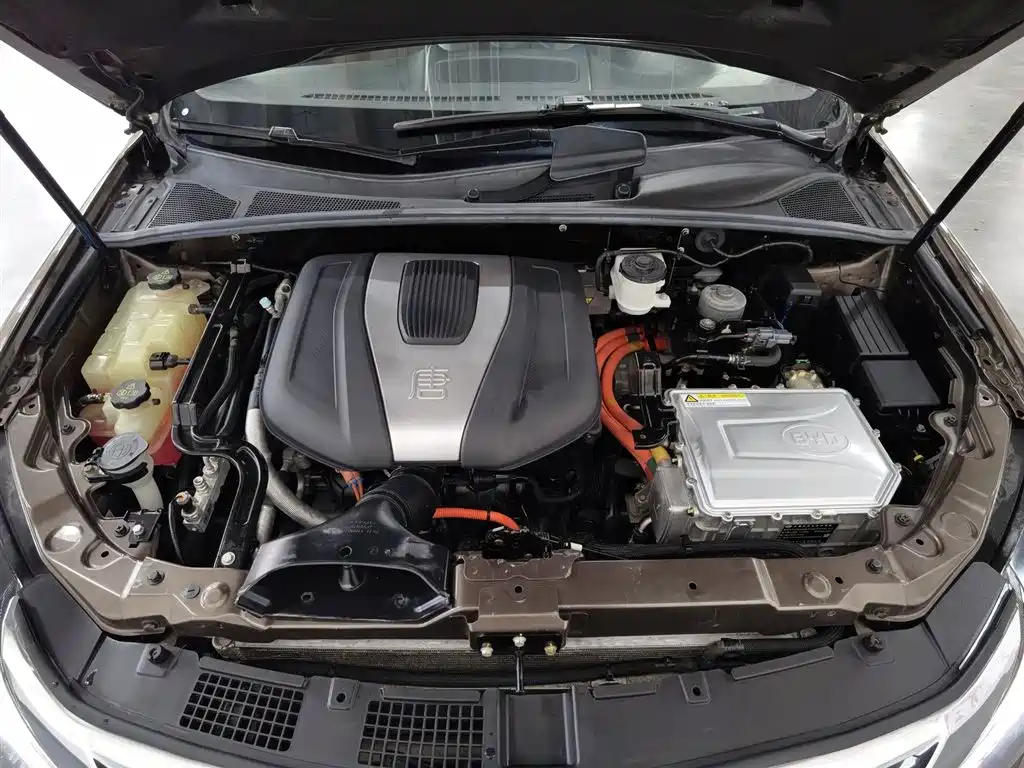 BYD Tang New Energy 2017 2.0T Tang 100 фото 6