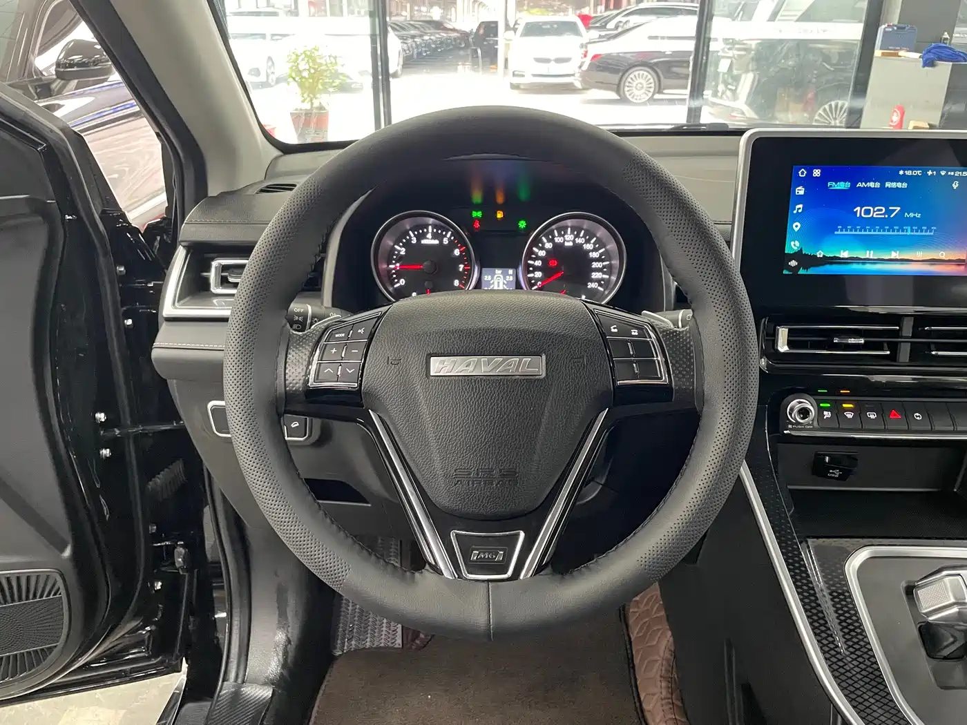 HAVAL M6