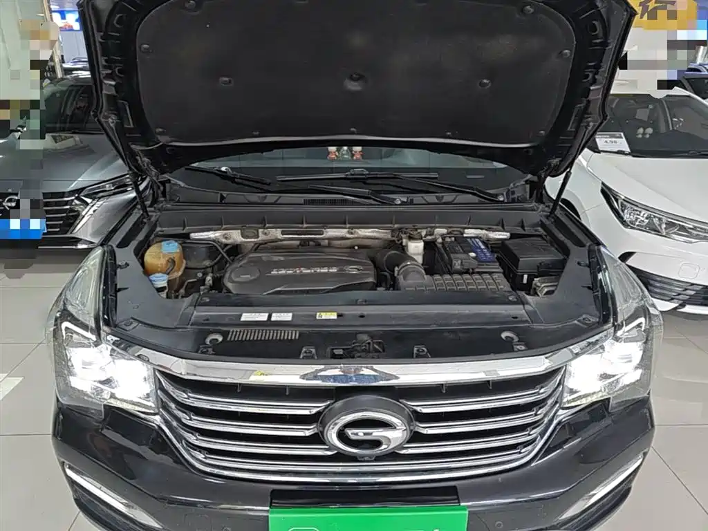GAC Trumpchi Trumpchi GS8 2017 320T 2WD Luxury Smart Connect (7-seater) фото 20