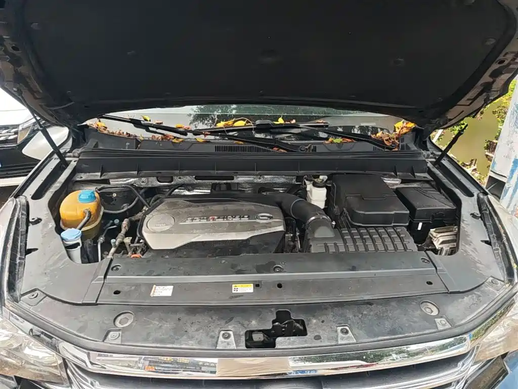 GAC Trumpchi Trumpchi GS8 2017 320T AWD Luxury Smart Connect (7-Seater) фото 20
