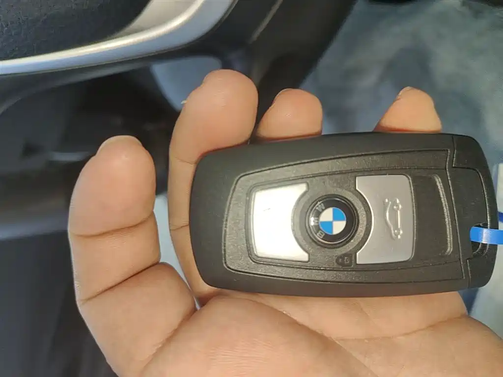 BMW 3 Series 2018 318Li фото 9