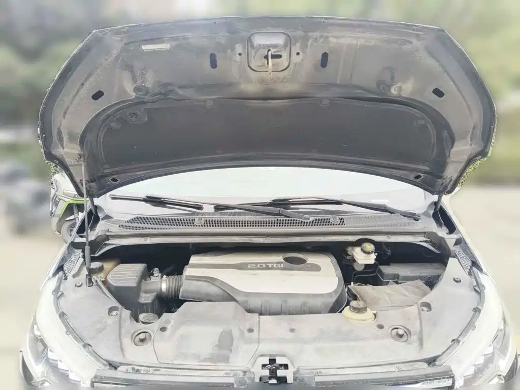 SAIC Maxus Maxus G20 2021 2021 PLUS 2.0T Gasoline Automatic Flagship