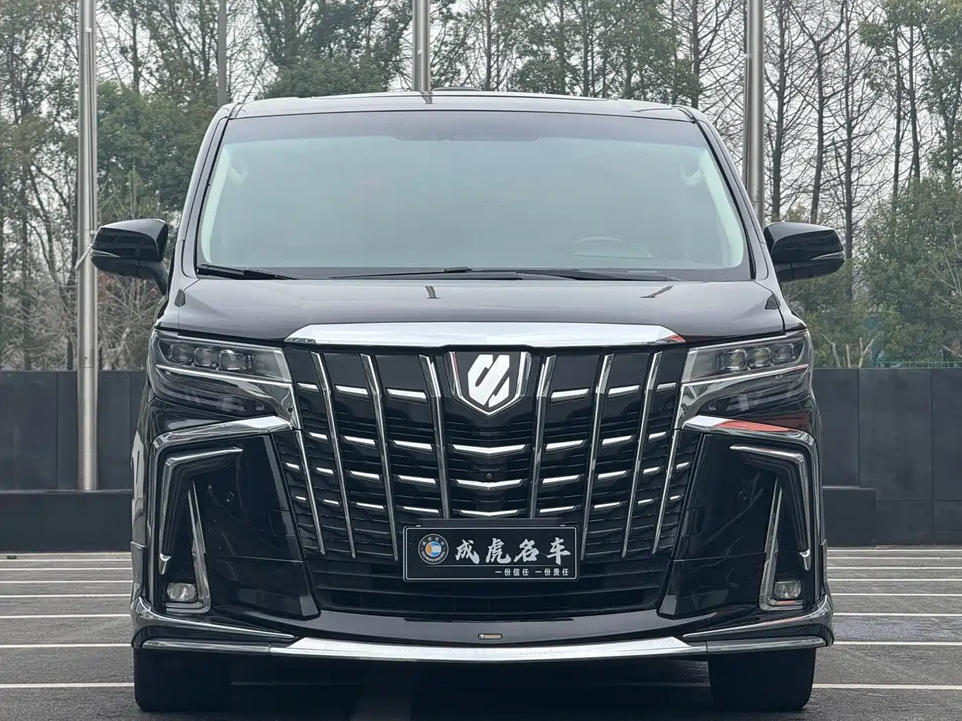 Toyota Alphard 2015 3.5L Premium Edition фото 2