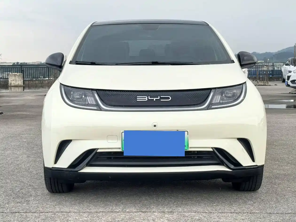 Фото 2 - BYD Dolphin