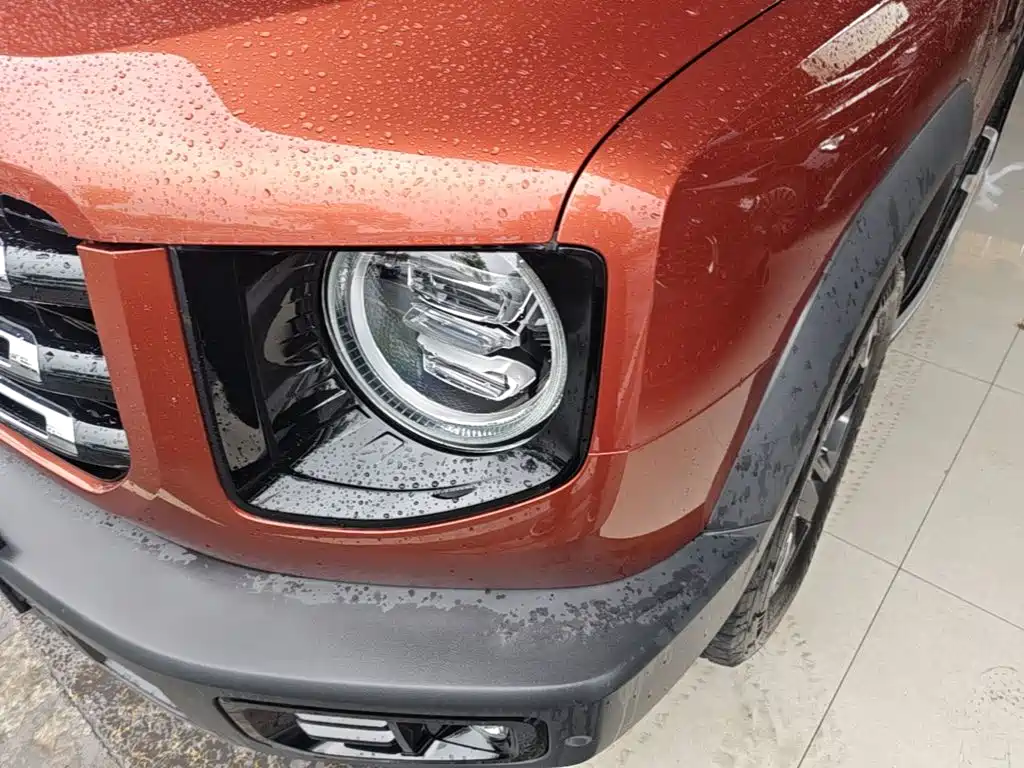 Haval Dargo 2021 2021 2.0T DCT 4WD Chinese Rural Dog Edition