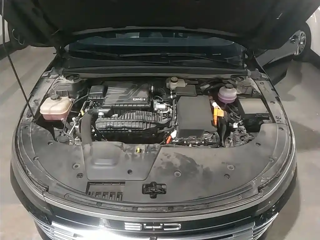 BYD Destroyer 05 2024 Glory Edition DM-i 55KM Luxury фото 20
