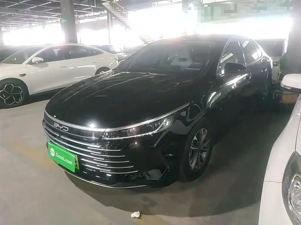 BYD Destroyer 05 2024 Glory Edition DM-i 55KM Luxury