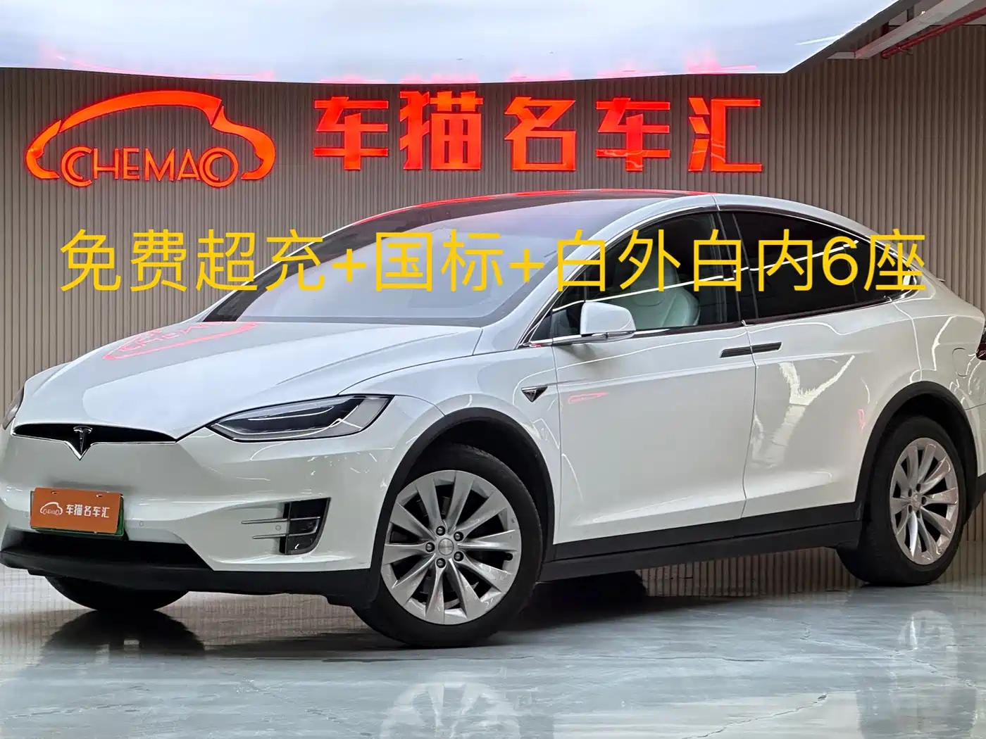 TESLA MODEL X