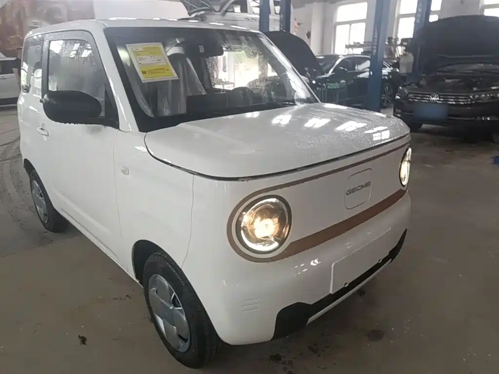 Geely Galaxy Panda 2025 Panda mini 210km Vitality Bear фото 4