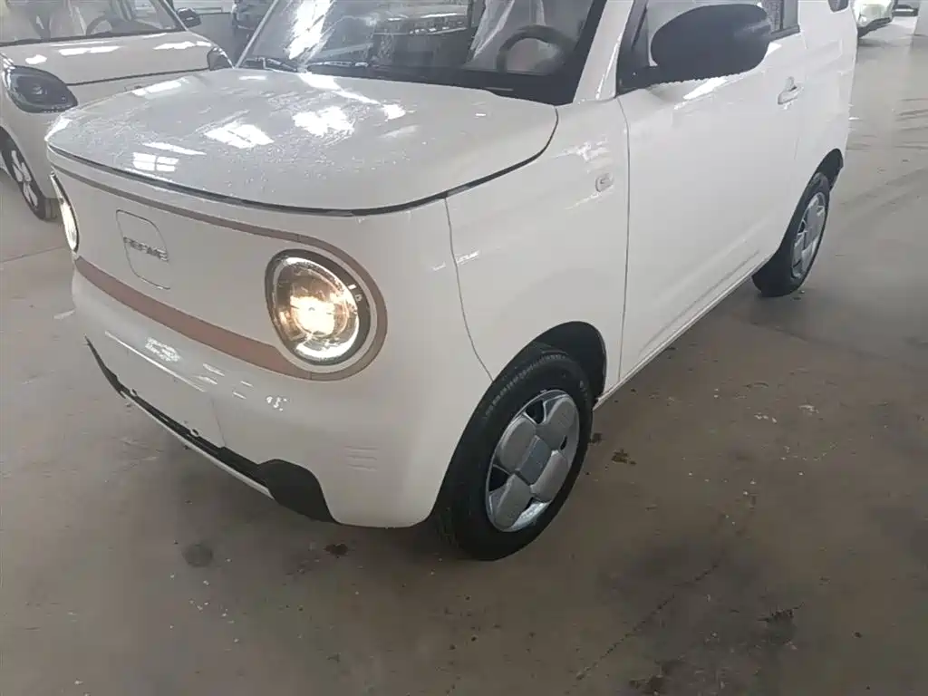 Geely Galaxy Panda 2025 Panda mini 210km Vitality Bear фото 24