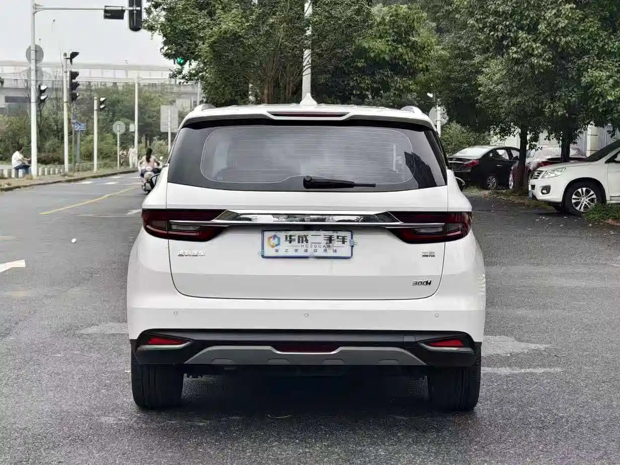 Фото 4 - Geely Jiaji