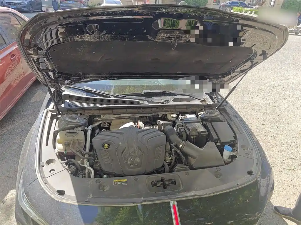 Hongqi H5 2023 2.0T Auto Smart Connect Flag Comfort фото 11
