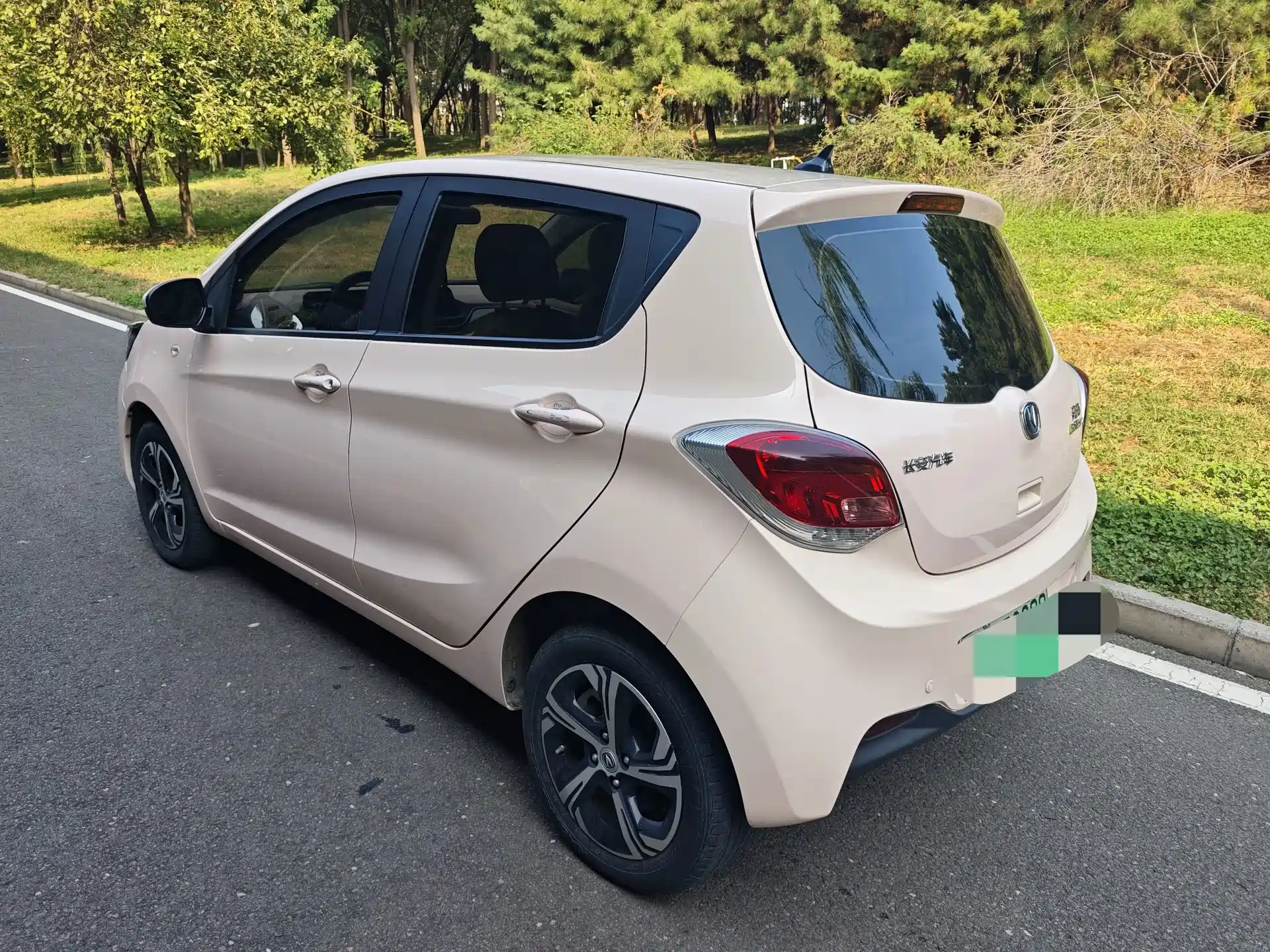 Photo 4 - Changan Benben E-Star