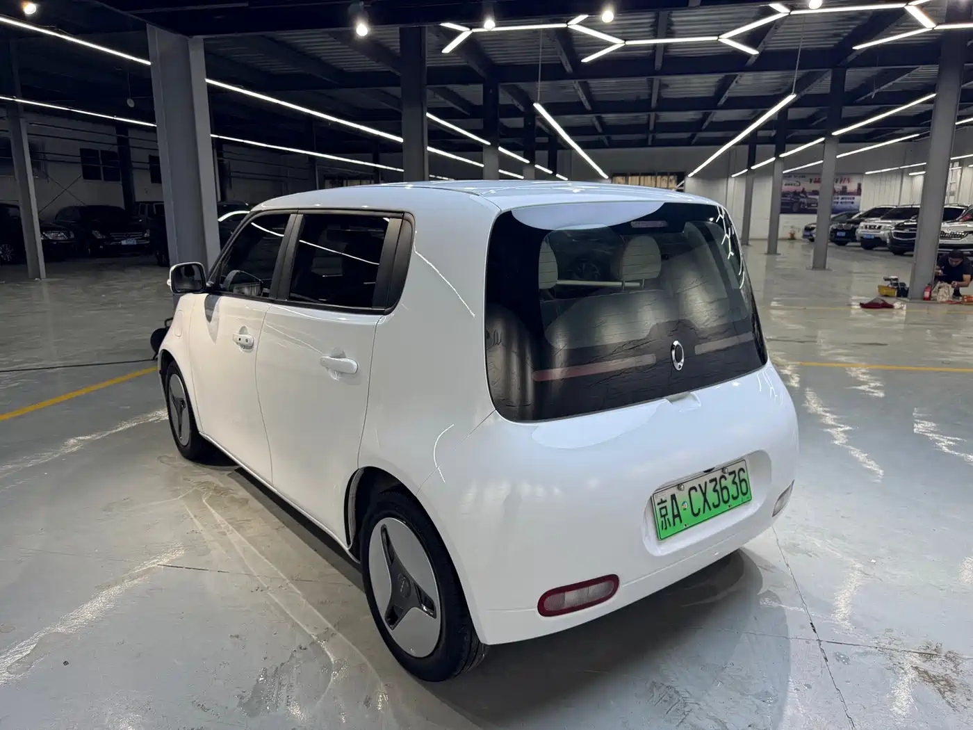 Ora White Cat 2020 2020 360km Luxury Model