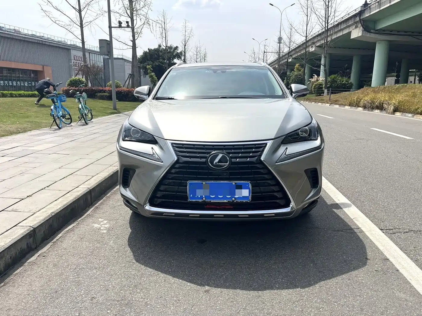 LEXUS NX