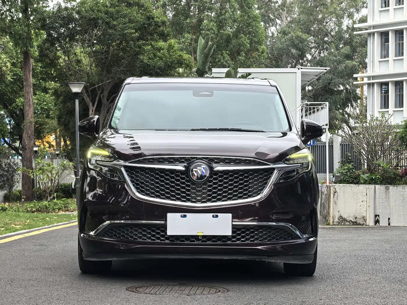 Buick GL8 2020 Avenir Six-Seat Elegance Edition фото 3